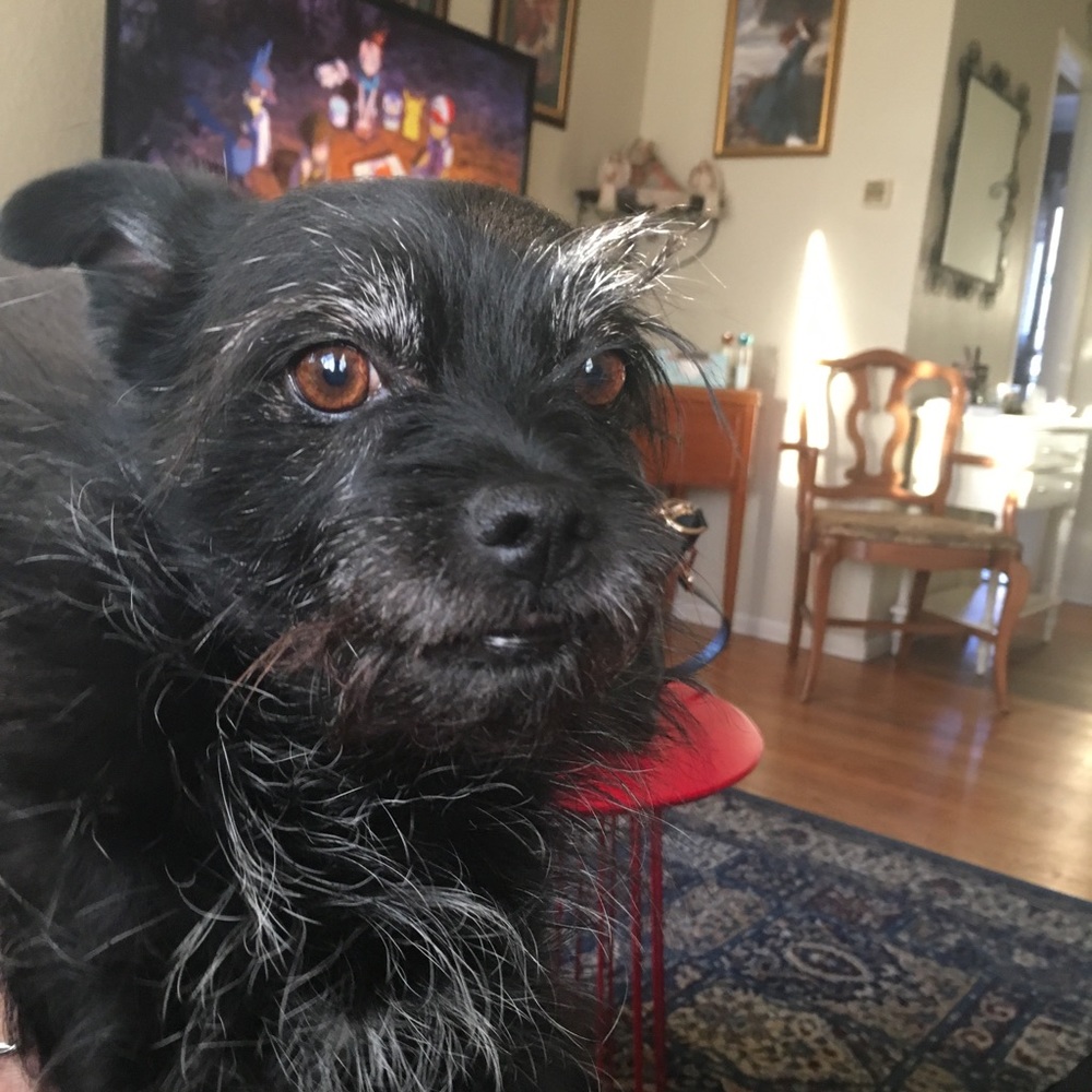 Meet your Posher, Joanna